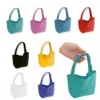 Minimalist Reusable Mini Small Canvas Lunch Bag DIY in Multiple Colors